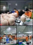 Entity doll TPE silicone whole body non-inflatable artificial male appliance adult sexy doll from automatic woman